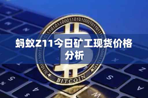 蚂蚁Z11今日矿工现货价格分析
