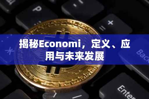 揭秘Economi，定义、应用与未来发展