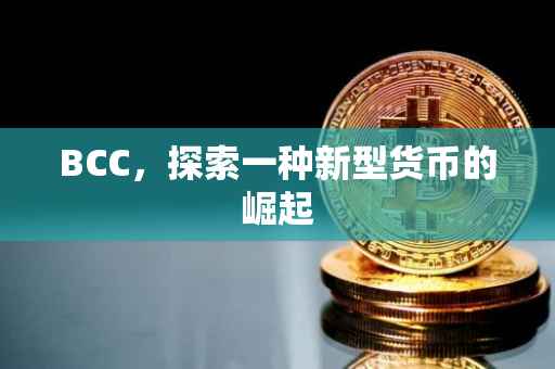 BCC，探索一种新型货币的崛起
