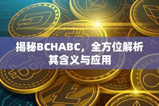 揭秘BCHABC，全方位解析其含义与应用