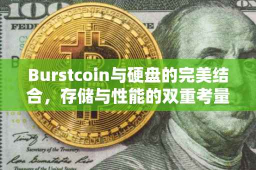 Burstcoin与硬盘的完美结合，存储与性能的双重考量