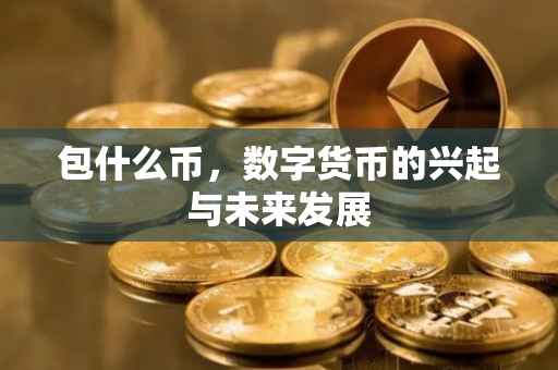 包什么币，数字货币的兴起与未来发展