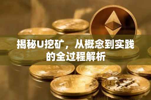 揭秘U挖矿，从概念到实践的全过程解析