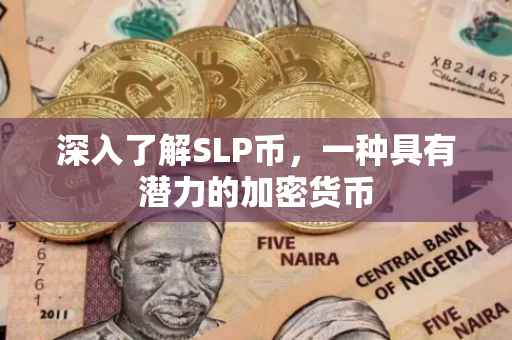 深入了解SLP币，一种具有潜力的加密货币
