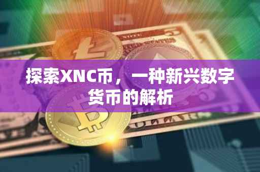 探索XNC币，一种新兴数字货币的解析