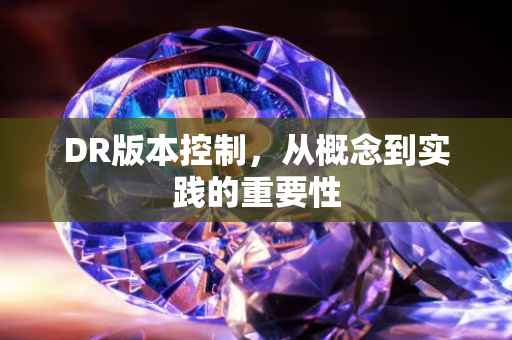 DR版本控制，从概念到实践的重要性