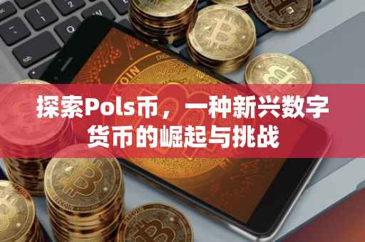 探索Pols币，一种新兴数字货币的崛起与挑战