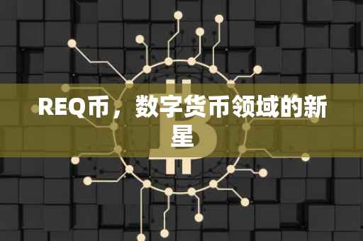 REQ币，数字货币领域的新星
