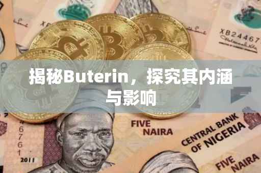 揭秘Buterin，探究其内涵与影响