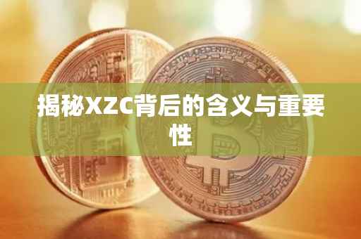 揭秘XZC背后的含义与重要性