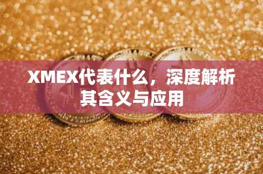 XMEX代表什么，深度解析其含义与应用