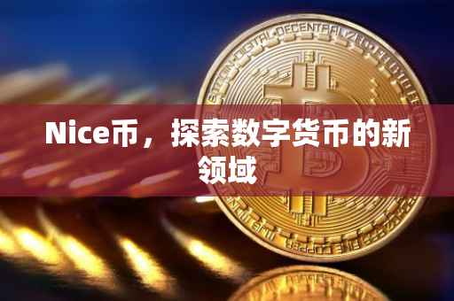 Nice币，探索数字货币的新领域
