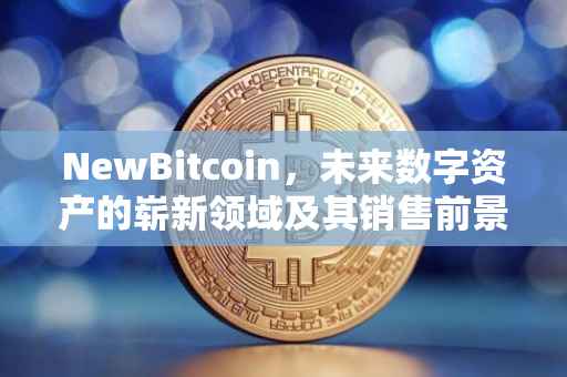 NewBitcoin，未来数字资产的崭新领域及其销售前景