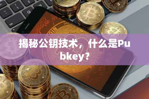 揭秘公钥技术，什么是Pubkey？