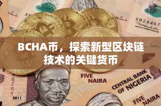 BCHA币，探索新型区块链技术的关键货币