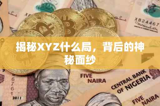揭秘XYZ什么局，背后的神秘面纱
