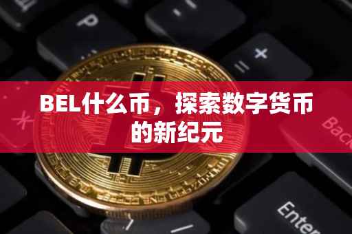 BEL什么币，探索数字货币的新纪元