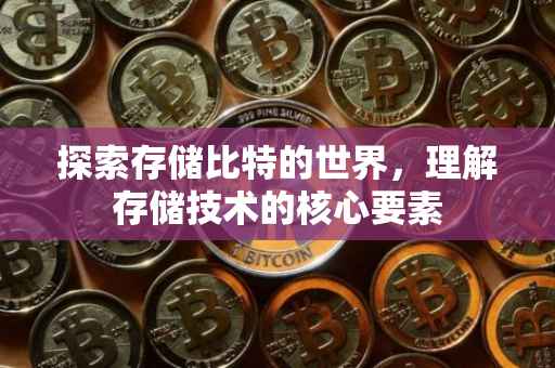 探索存储比特的世界，理解存储技术的核心要素