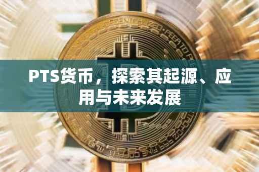PTS货币，探索其起源、应用与未来发展