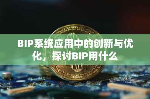 BIP系统应用中的创新与优化，探讨BIP用什么