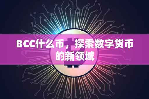 BCC什么币，探索数字货币的新领域