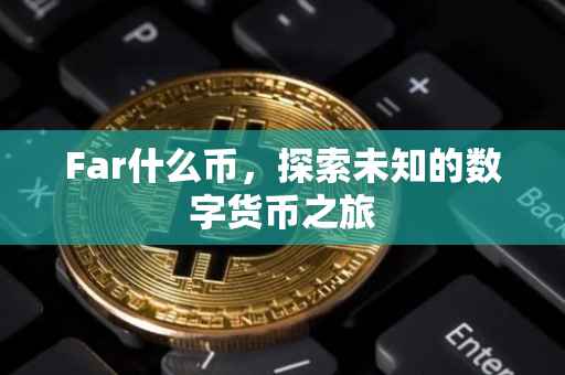 Far什么币，探索未知的数字货币之旅