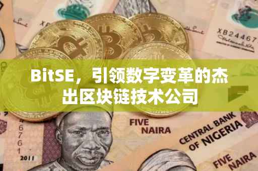 BitSE，引领数字变革的杰出区块链技术公司
