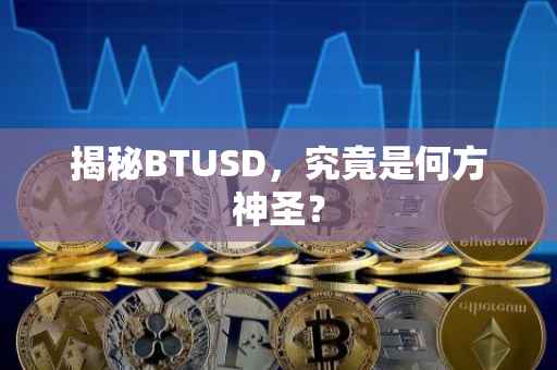 揭秘BTUSD，究竟是何方神圣？