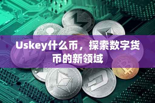 Uskey什么币，探索数字货币的新领域