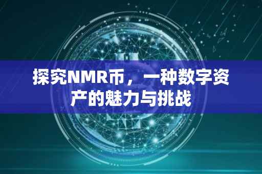 探究NMR币，一种数字资产的魅力与挑战