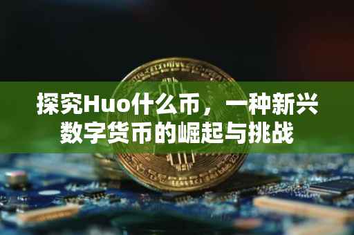 探究Huo什么币，一种新兴数字货币的崛起与挑战