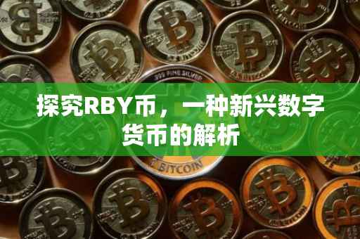 探究RBY币，一种新兴数字货币的解析