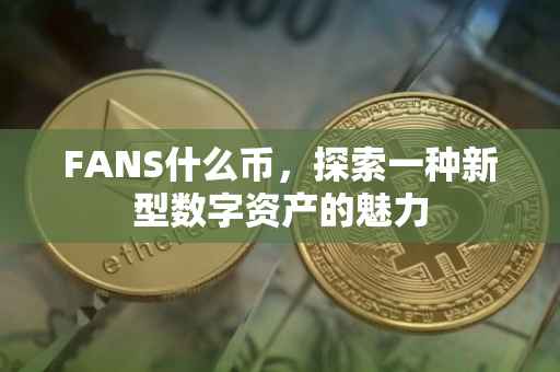 FANS什么币，探索一种新型数字资产的魅力