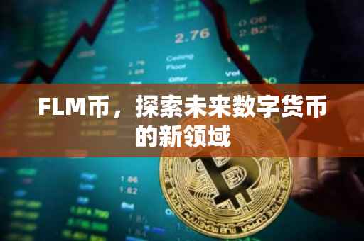 FLM币，探索未来数字货币的新领域
