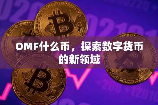 OMF什么币，探索数字货币的新领域
