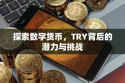 探索数字货币，TRY背后的潜力与挑战