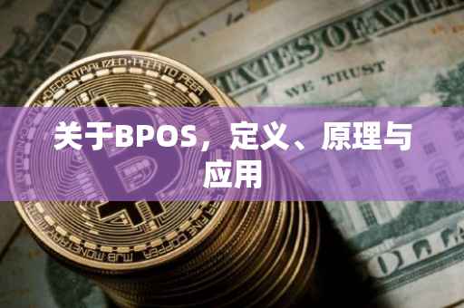 关于BPOS，定义、原理与应用