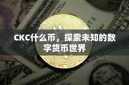 CKC什么币，探索未知的数字货币世界