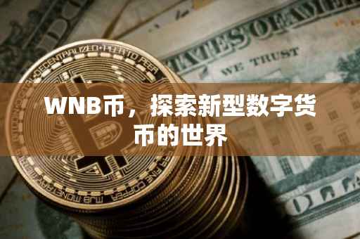 WNB币，探索新型数字货币的世界
