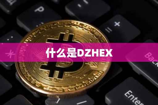 什么是DZHEX