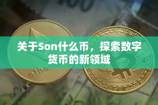 关于Son什么币，探索数字货币的新领域