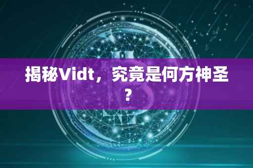 揭秘Vidt，究竟是何方神圣？