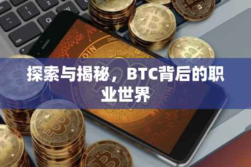 探索与揭秘，BTC背后的职业世界