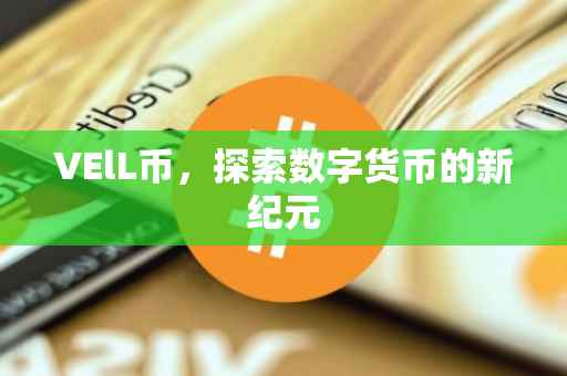 VElL币，探索数字货币的新纪元