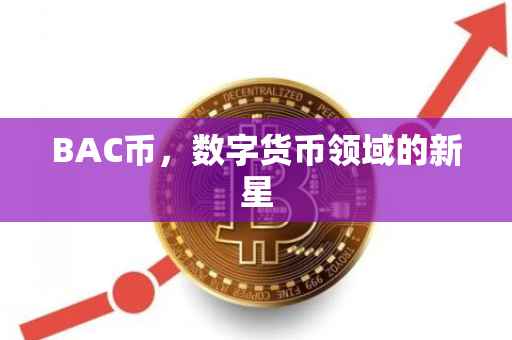 BAC币，数字货币领域的新星
