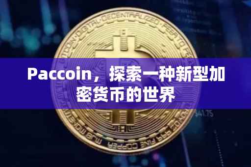 Paccoin，探索一种新型加密货币的世界