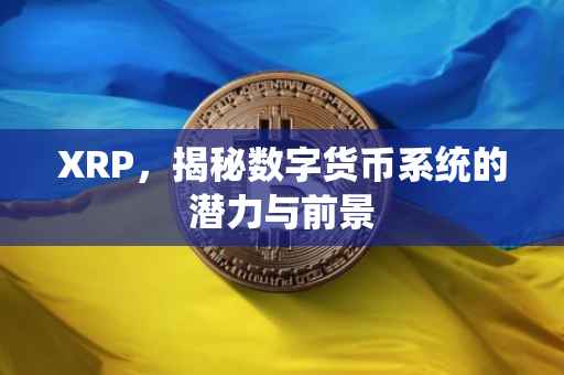 XRP，揭秘数字货币系统的潜力与前景