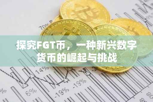 探究FGT币，一种新兴数字货币的崛起与挑战