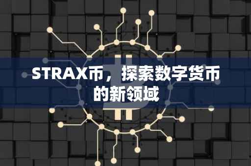 STRAX币，探索数字货币的新领域