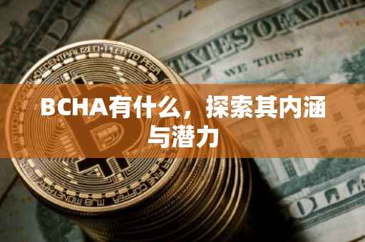 BCHA有什么，探索其内涵与潜力
